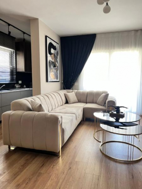 Luxury Apartment